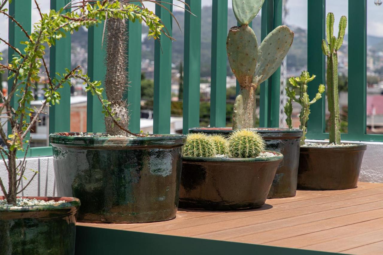 Holt - Villa Noria - La Casa Del Barro Verde Oaxaca Ngoại thất bức ảnh